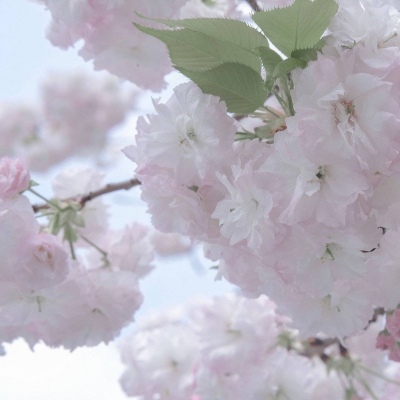 南明福瑞交流群